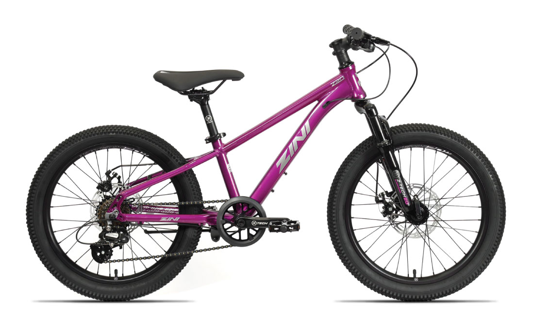 Zini20 Disc Dragonberry 2026