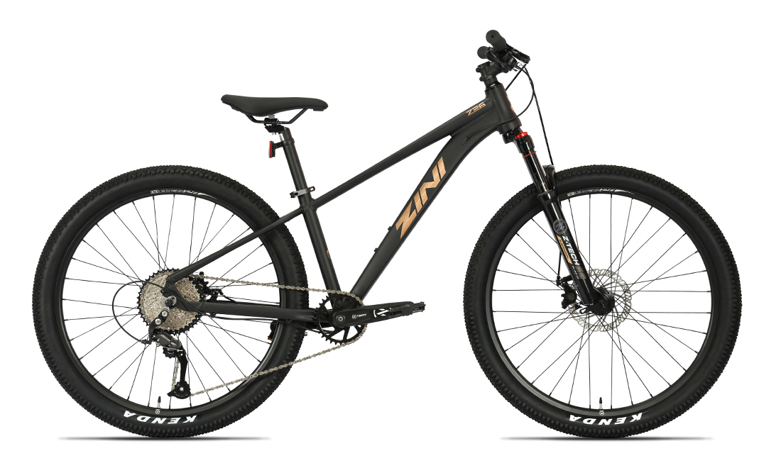 Zini26 Disc 2025