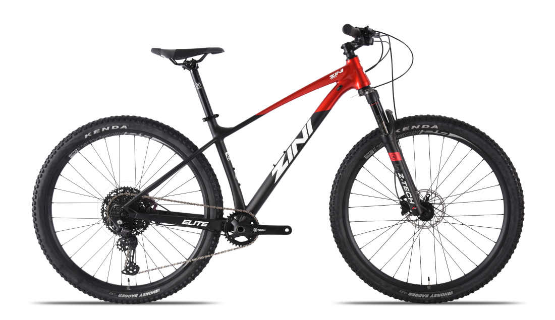 Zini29 Elite 2023