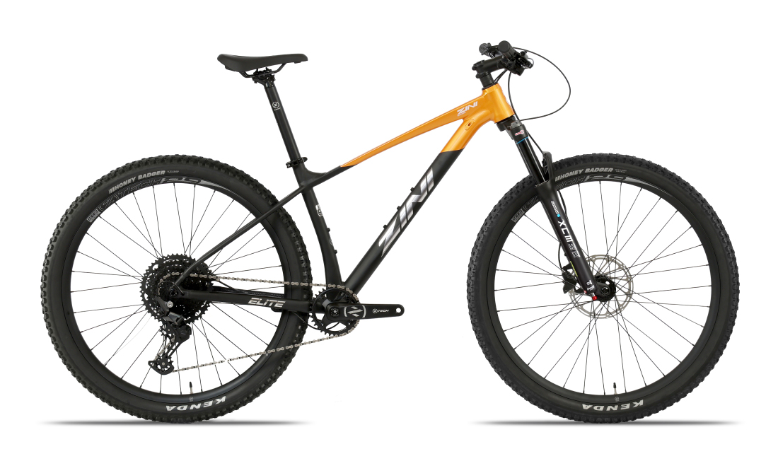 Zini29 Elite 2025